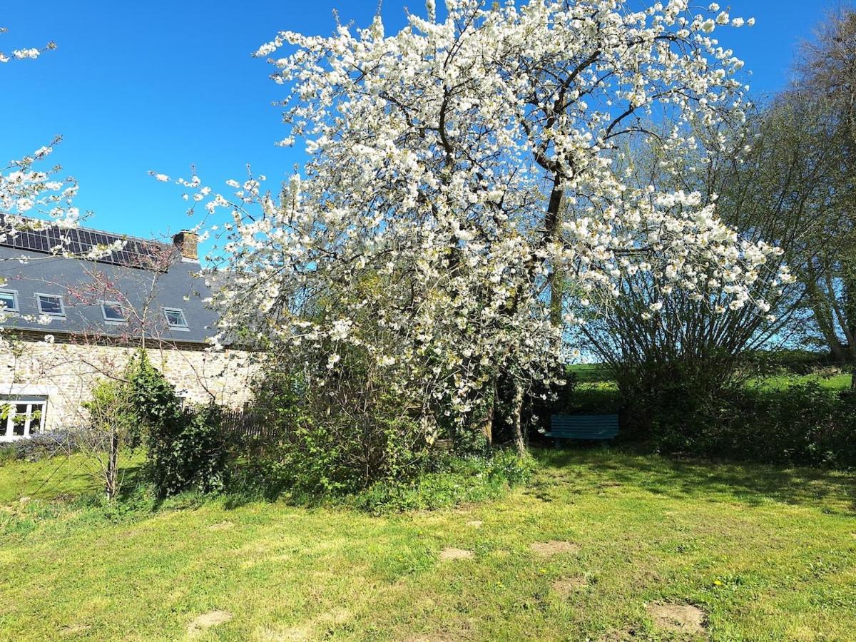 Au Lutin Pomme - Maison De Vacances Bretagne Mellé Dış mekan fotoğraf